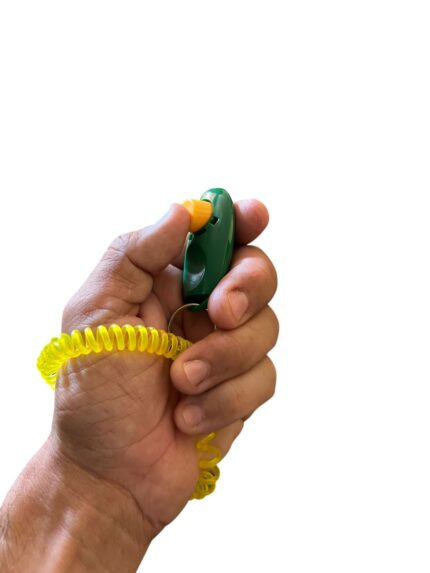 CLICKER