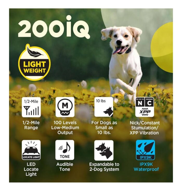 DOGTRA 200IQ - Imagem 8