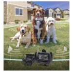 DOGTRA EFENSE 3500 - Imagem 7