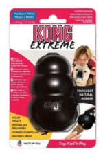 KONG EXTREME - MEDIUM / MOYEN