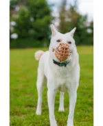 FOCINHEIRA DE CONTENÇÃO - BASKERVILLE - Imagem 8